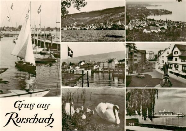 Rorschach Bodensee SG Bootshafen Panorama Ortspartien Schwäne