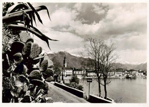 Ascona Lago Maggiore TI Vegetazione