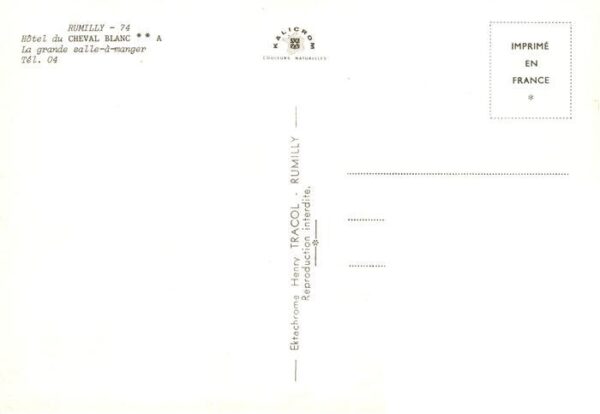 Rumilly Haute-Savoie Hotel du Cheval Blanc La grande salle a – Bild 2