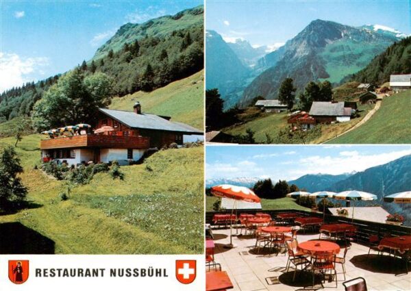 Braunwald GL Restaurant Nussbühl Terrasse Alpenpanor