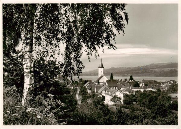 Steckborn Untersee TG Panorama Kirche