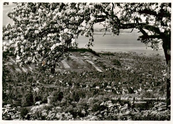 Thal Bodensee SG Panorama mit Steinernem Tisch