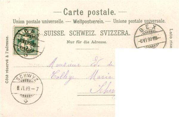 Schweiz Region Förster kühe Lito – Bild 2
