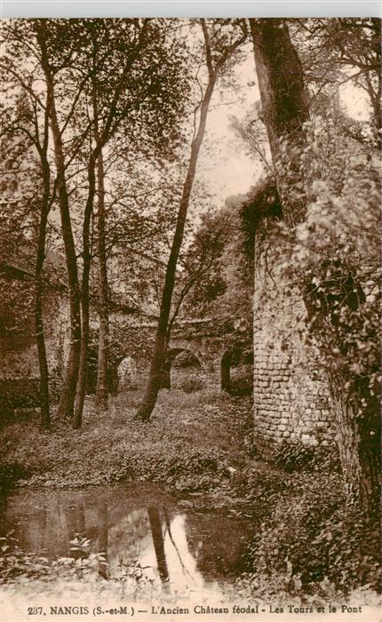 Nangis 77 Seine-et-Marne Ancien Chateau feodal Les Tours et la P