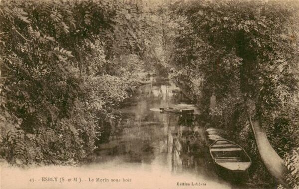 Esbly 77 Seine-et-Marne Le Morin sous bois