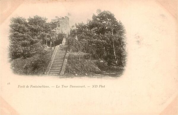 Fontainebleau 77 Seine et Marne Foret de Fontainebleau La Tour Dennecou