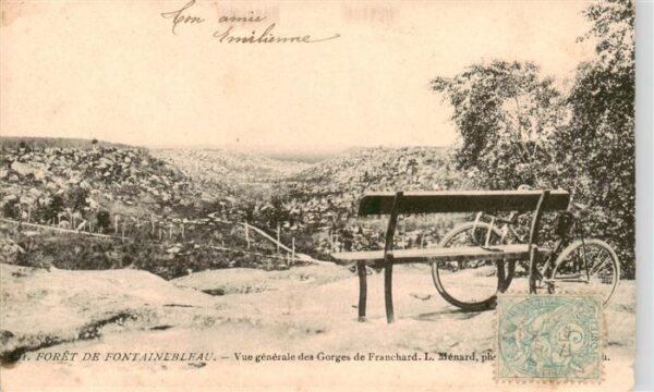 Fontainebleau 77 Seine et Marne Vue generale des Georges de Franchard