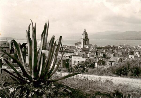 Saint Tropez Var Panorama