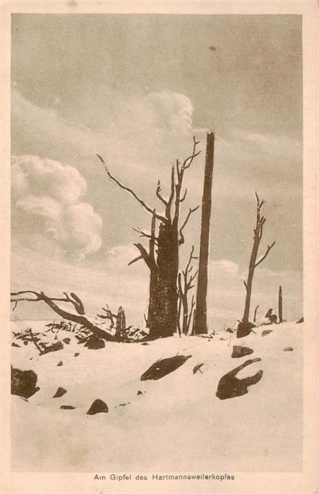 Hartmannsweilerkopf Am Gipfel