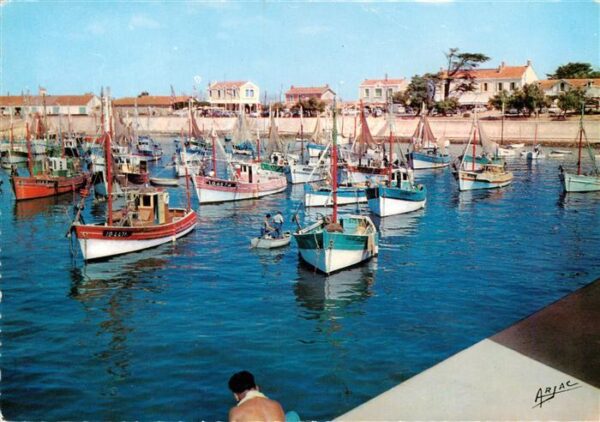 La Cotiniere St Pierre  d Oleron 17 Char Sur la Cote de Lumiere