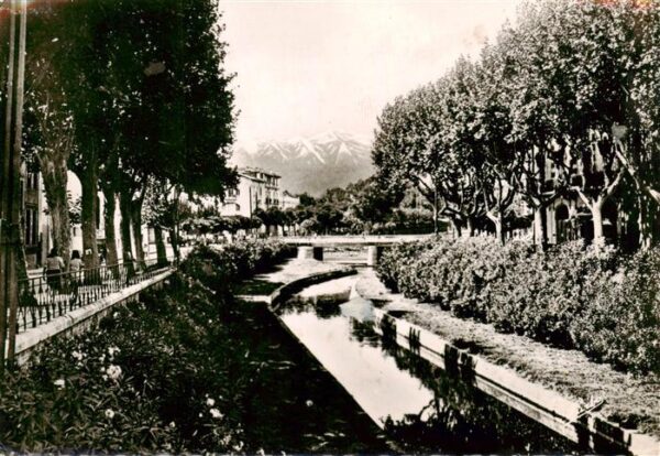 Perpignan Les Quais fleuris de la Basse et au fon