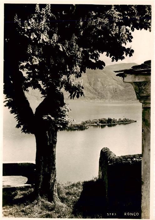 Ronco sopra Ascona Locarno TI Panorama