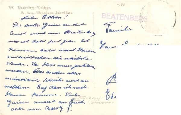 Waldegg Beatenberg mit Faulhorn Wetterhorn Schreckhorn – Bild 2