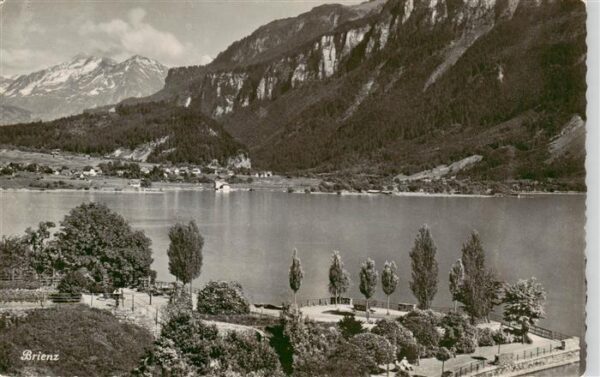 Brienz Brienzersee BE Panorama