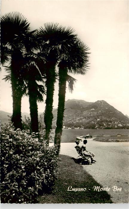 Lugano Lago di Lugano TI Monte Bre