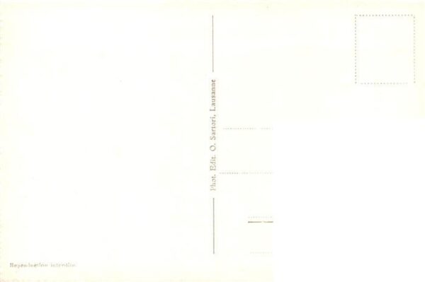 Murten Morat FR Panorama – Bild 2