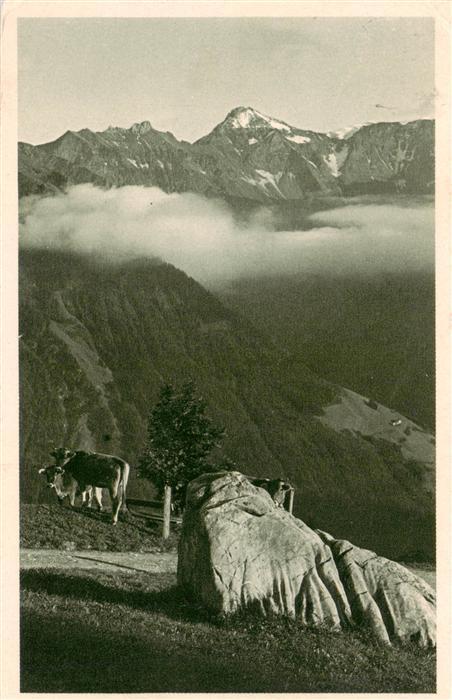 Braunwald GL Idyll auf Braunwald mit Hausstock