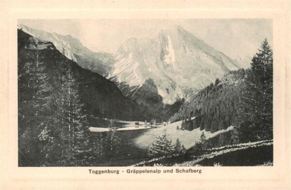 Toggenburg SG Gräppelenalp und Schafberg