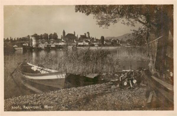 Rapperswil BE Seepartie