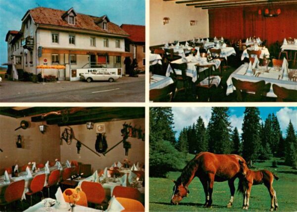 Saignelegier Saingnelegier JU Hotel Bellevue Gasträume Stute mit Fohl
