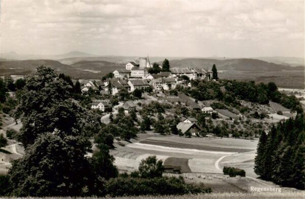 Regensberg Dielsdorf ZH Panorama