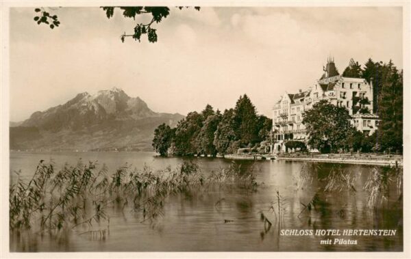 Hertenstein  LU Schloss Hotel Hertenstein mit Pilatus