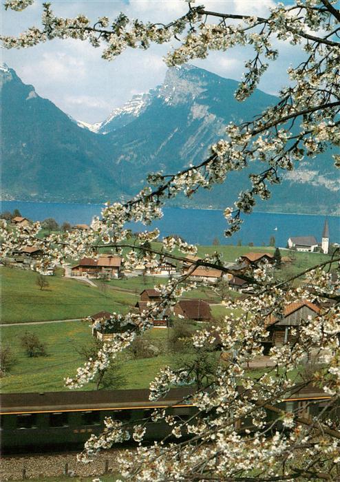 Spiez Thunersee BE Panorama