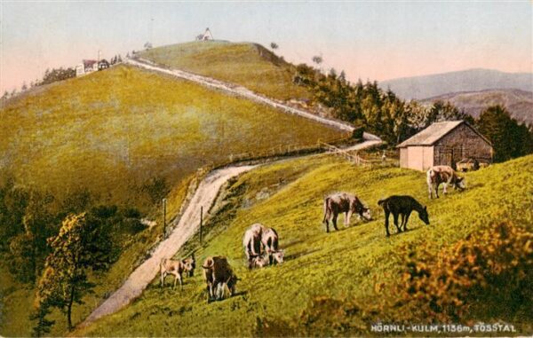 Hoernli-Kulm 1136m ZH im Tösstal