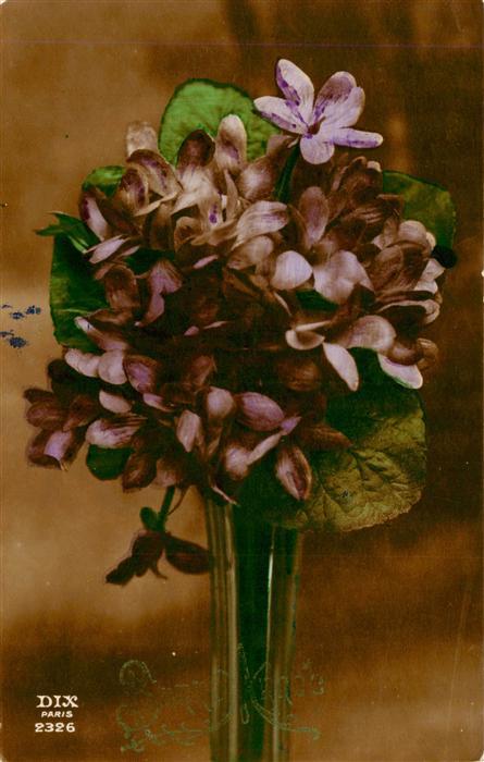 Foto DIX Paris Nr. Nr. 2326 Blumen