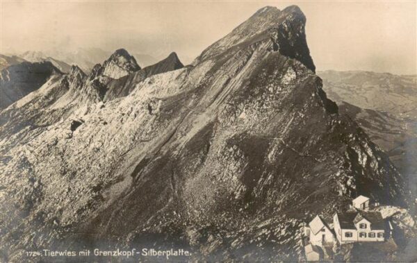 Tierwies AR mit Grenzkopf Silberplatte