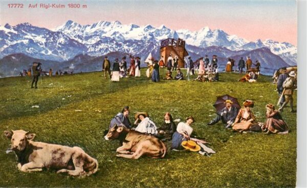 Rigi Kulm Liegewiese Alpenpanorama