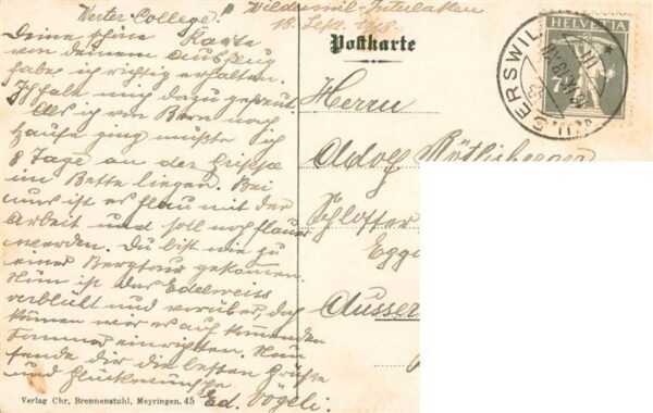 Wilderswil Wilderswyl BE Hotel Faulhorn – Bild 2