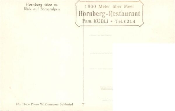 Hornberg Saanenmoeser Hornberg Restaurant mit Blick auf Berne – Bild 2