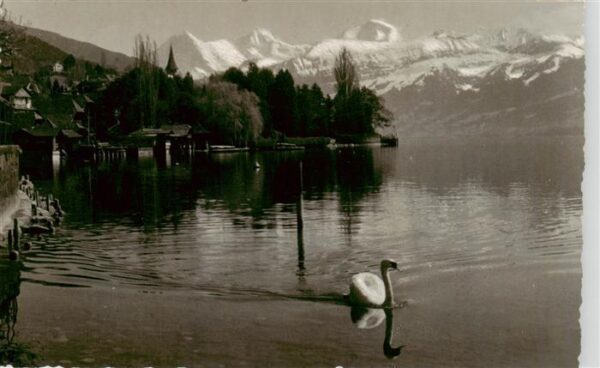 Hilterfingen Thunersee BE mit Eiger Mönch und Jungfrau