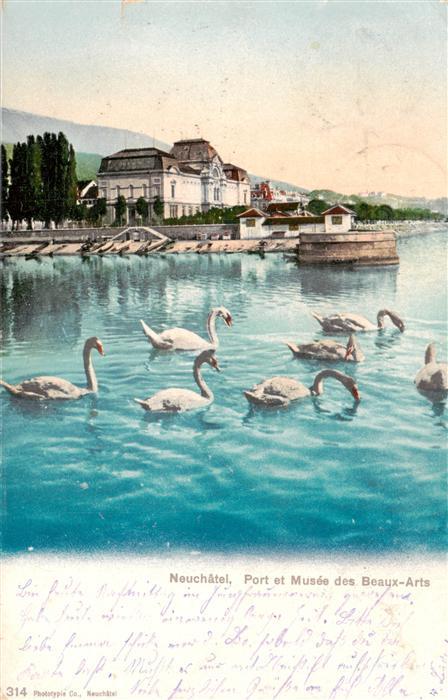 Neuchatel NE Port et Musée des Beaux Arts des cygnes