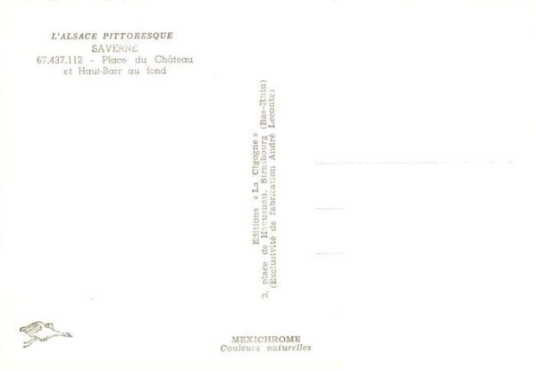Saverne Zabern 67 Bas Rhin Alsace Place du Chateau et Haut Barr au fond – Bild 2