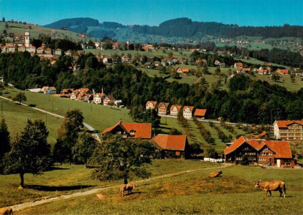 Heiden AR Panorama