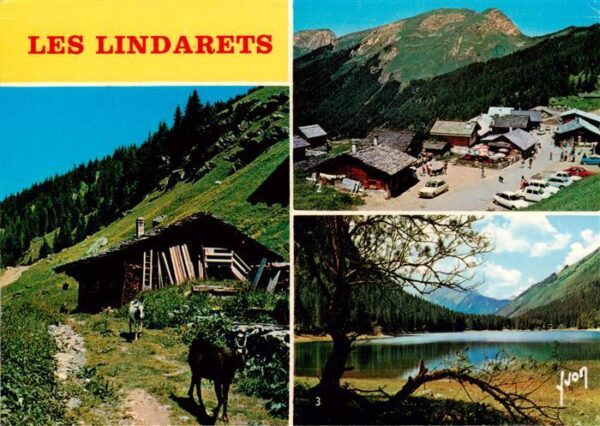 Les Lindarets 74 Haute-Savoie Vue générale des chèvres Lac de Montrio