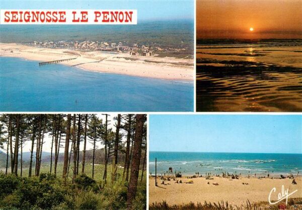 Seignosse 40 Landes Luftaufnahme Sonnenuntergang Strand Wal