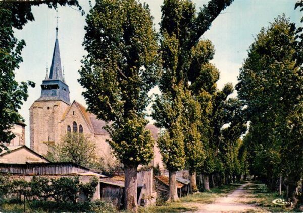 Villeneuve-l Archeveque 89 Yonne Promenade du Sud à l'ombre de l'église