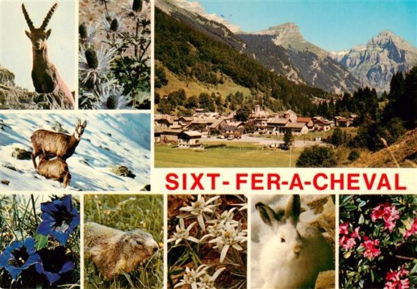 Sixt-Fer-a-Cheval Faune et Flore des Alpes Sixt Fer a Che