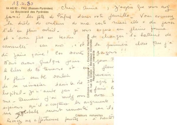 Pau 64 Le Boulevard des Pyrenees – Bild 2