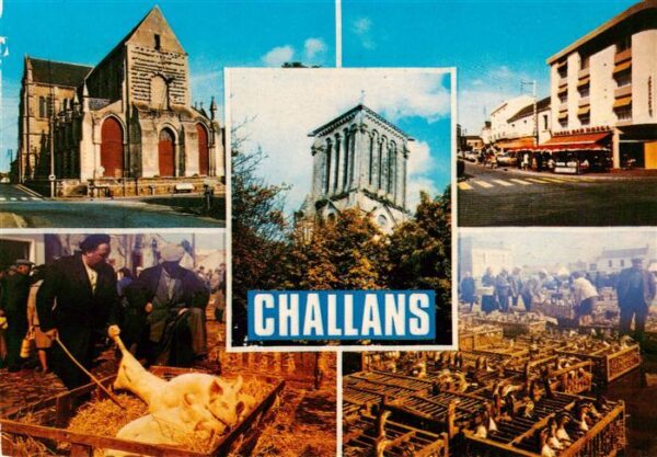 Challans 85 Kathedrale Innenstadt Viehmarkt Geflüge