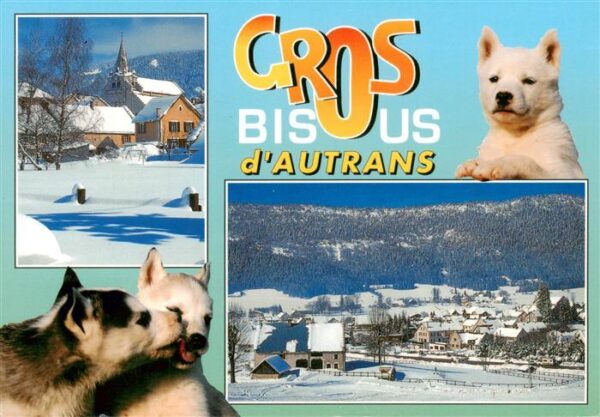 Autrans 38 Isere Cros bisus des chiens Vue panoramique e