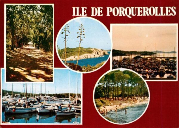 Ile de Porquerolles Chemin de la Courtade et les eucalyptus