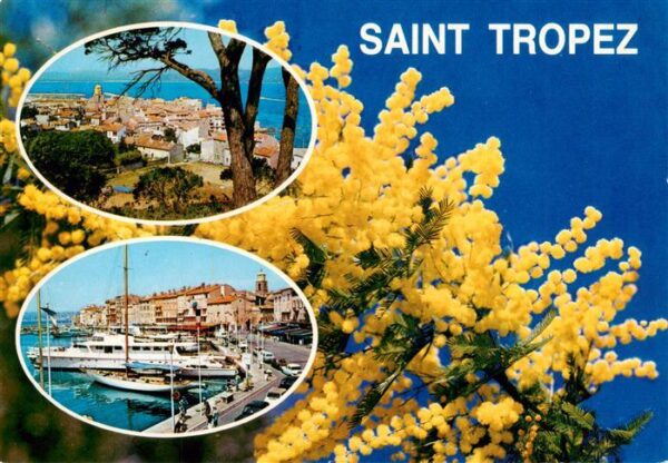 Saint Tropez Var Panorama Hafen Blütenzauber