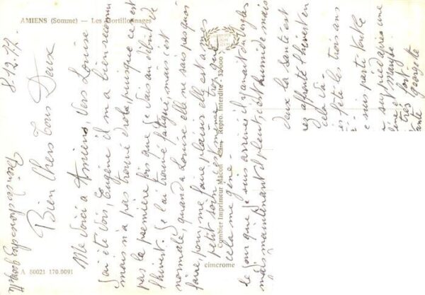 Amiens 80 Somme Les Hortillonnages – Bild 2