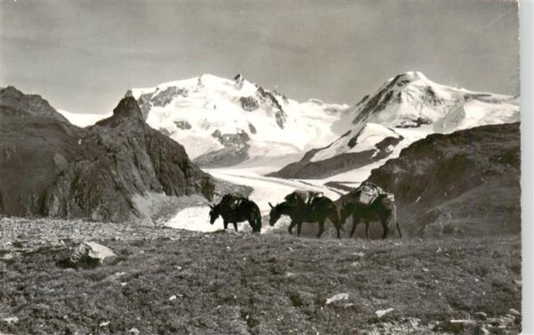 Zermatt VS Schwarzsee Monte Rosa Lyskamm