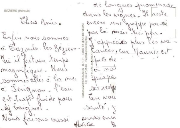 Beziers 34 Marche aux Fleurs La Cathedrale St Naza – Bild 2