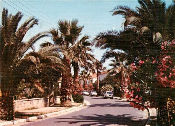 Hyeres-les-Palmiers 83 Var Une rue fleurie